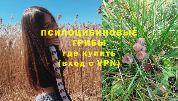 ПСИЛОЦИБИНОВЫЕ ГРИБЫ Алексеевка