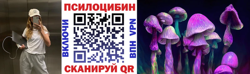 Псилоцибиновые грибы GOLDEN TEACHER  Нижнеудинск 